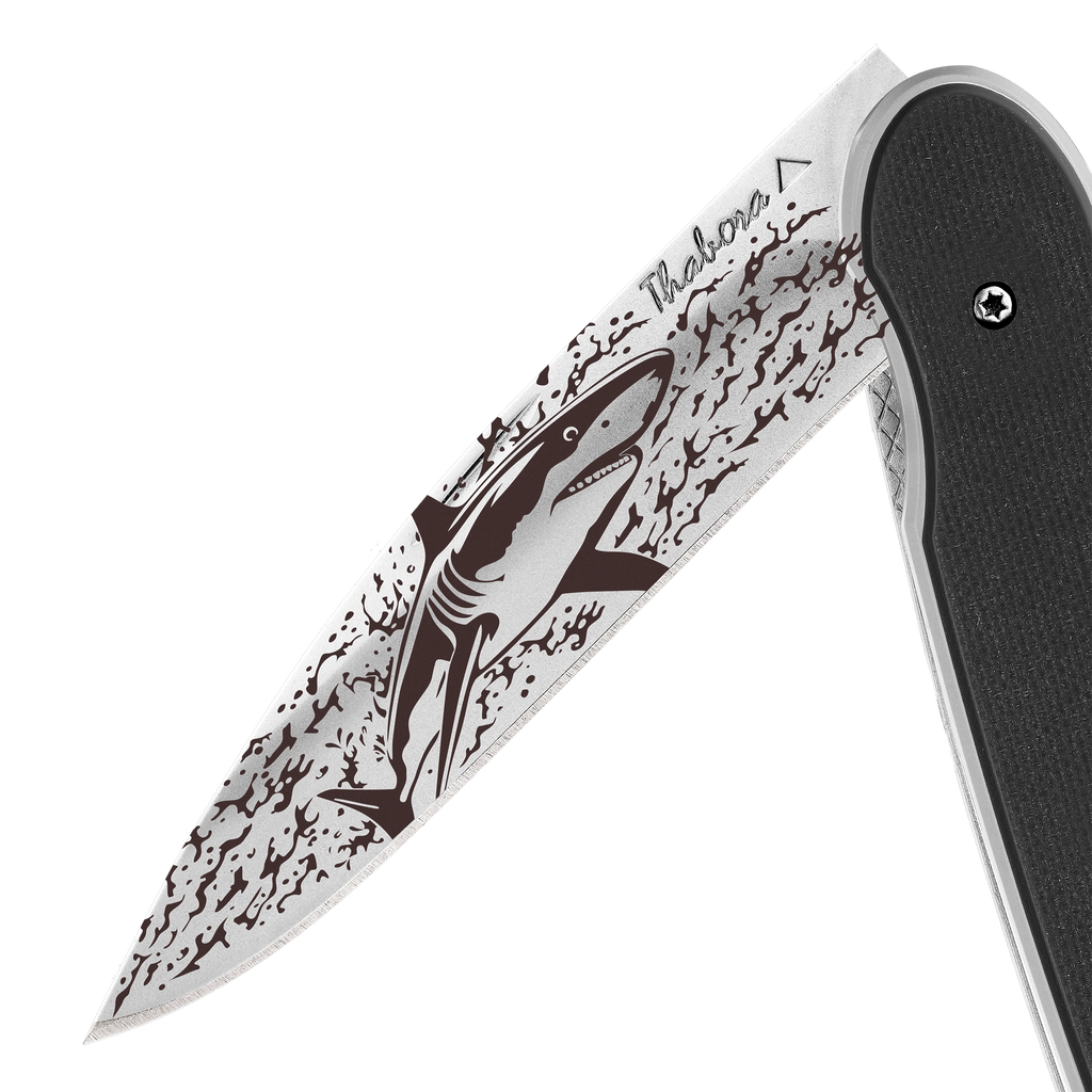 Couteau acier finition brillante plaquette pleine rsine g10 noir moti ...